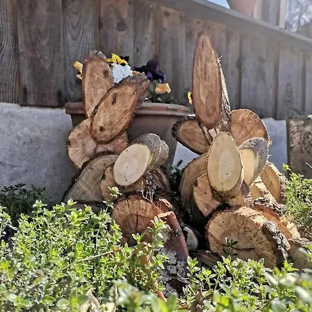 La Bergerie Allons (Lot-et-Garonne)